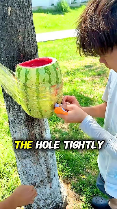 They Did THIS for Cold Juice!
