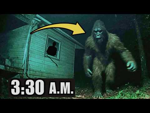 Big Creature Found & Camping Attack Caught on Camera