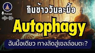 กินมื้อเดียว Autophagy เมื่อความ "หิว" คือยารักษาโรคที่ดีที่สุด I #นะโมพุทธายะ