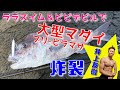 試作ロッド&プラグに大型真鯛・ブリ・ヒラマサが炸裂‼井上スタイルで攻略するショア青物キャスティングゲーム