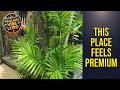 Sri Ayuttaya Guesthouse - This Place Feels Premium | Bangkok, Thailand🏨