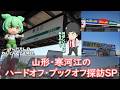 山形・寒河江のハードオフやブックオフ探訪とずんだもんのねんどろいど開封【Vlog】