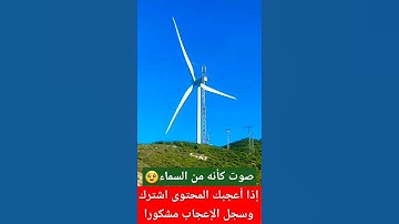 #ياسر_الدوسري #سورة_المؤمنون #القرآن_الكريم #تلاوة_خاشعة #راحة_نفسية #قرآن #مسلم ##islam #آيات_بينات