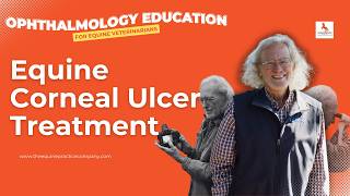 Equine Corneal Ulcer Treatment: Anti-Protease and Fibronectin Insights