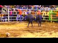 Caballo De Jalisco vs El Cazador De Sombras De Rancho La Mision