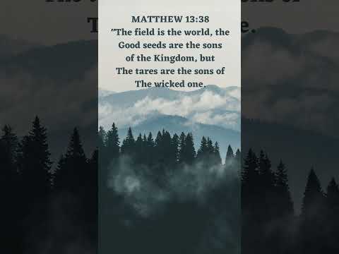 PARABLE FROM CHRIST..LET