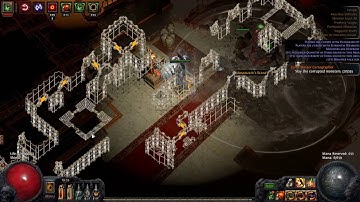 Path of Exile 2.3 DOT Build (T13 Zana