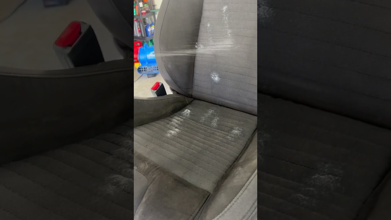 Terminator, Pol Star & Carpet Bomber