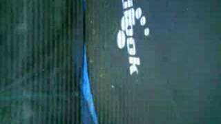 Savage Trampoline Pitbull Puppy Showing His New Teeth Lol