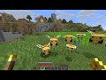 Minecraft 26 Survival Ep.1 | 26.1.1 "Gold Plated Flowers"