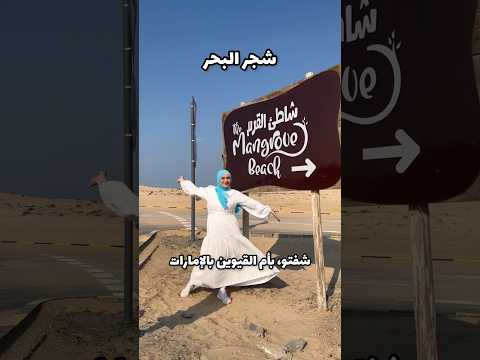 معقول شجر بيطلع بنص البحر شفتو بأم القيوين بالامارات خبروني شو بتعرفوا عنه  الامارات دبي