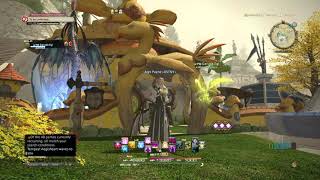 Final Fantasy XIV Carbuncle House Tour