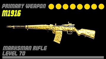 M1916 Gold Camo Guide | Call of Duty: Vanguard