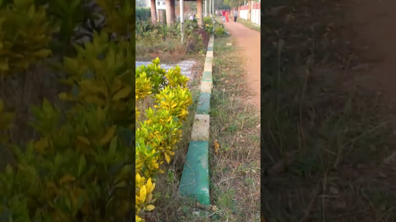 kakinada boat club walking