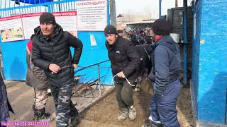 Дарбаза алды Реалдуу баалар !!! Караван мал базары 7-Февраль 