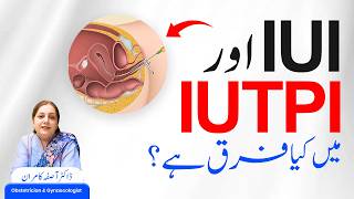 IUI vs IUTPI – بڑا فرق سمجھیں! | Standard vs Advanced Fertility Technique Explained