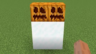 what if you create DOUBLE SNOW GOLEM in MINECRAFT #234