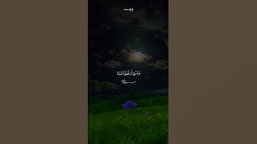 ﴿وَعَسَىٰ أَن تَكْرَهُوا شَيْئًا وَهُوَ خَيْرٌ لَّكُمْ﴾ | تلاوة تهز القلوب #مشاري_العفاسي #قرآن