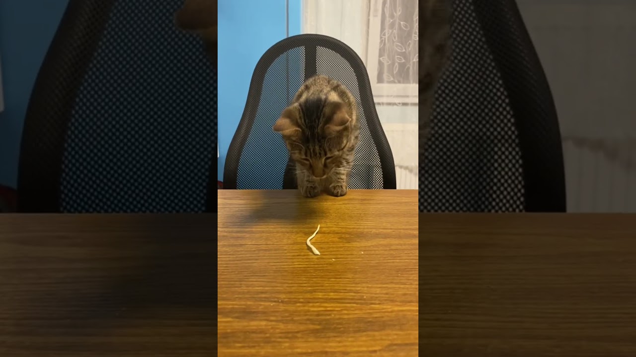 Мне нечего снимать, поэтому смотрите это^^ 