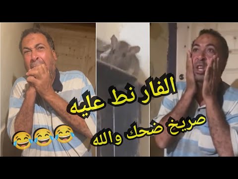 عيطت من الضحك الراجل مرعوب وبيترعش من الفار والفار طلع مجرم وطلع عليه