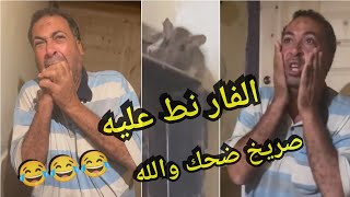 عيطت من الضحك .. الراجل مرعوب وبيترعش من الفار والفار طلع مجرم وطلع عليه 😂😂😂