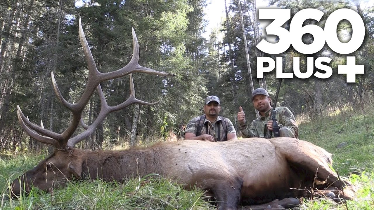 MONSTER MESCALERO ELK SEASON 47 360 PLUS YouTube