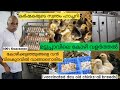 കോഴി വളർത്തൽ |കുറഞ്ഞ വിലയിൽ day old chicks വാങ്ങാം| Hatchery in Kerala| poultry farming kerala