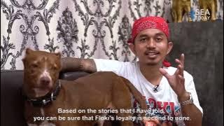 THE LOYALTY A DOG FROM INDONESIA ‼️ CINTA TANPA SYARAT