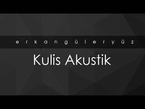 Erkan Güleryüz - Hoşgeldin (Kulis Akustik)