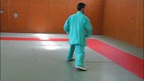 Tang Lang Quan - Jie Shou Quan