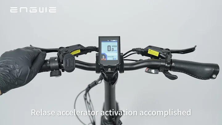 Engwe Engine Pro - Disable Throttle