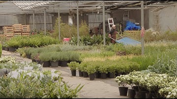 Canon EOS M,4.2K Magic Lantern.ARRI log c,Raw Video.In Shanghai, China.