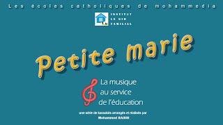 Petite Marie - Francis Cabrel - Instrumental/Karaoké ( Paroles / Lyrics )