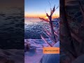 Beautiful Sunset