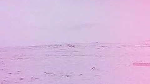 F-XI LDM Video Log Episode 3 - Water Management