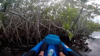 Hells Bay Everglades Camping/Kayaking