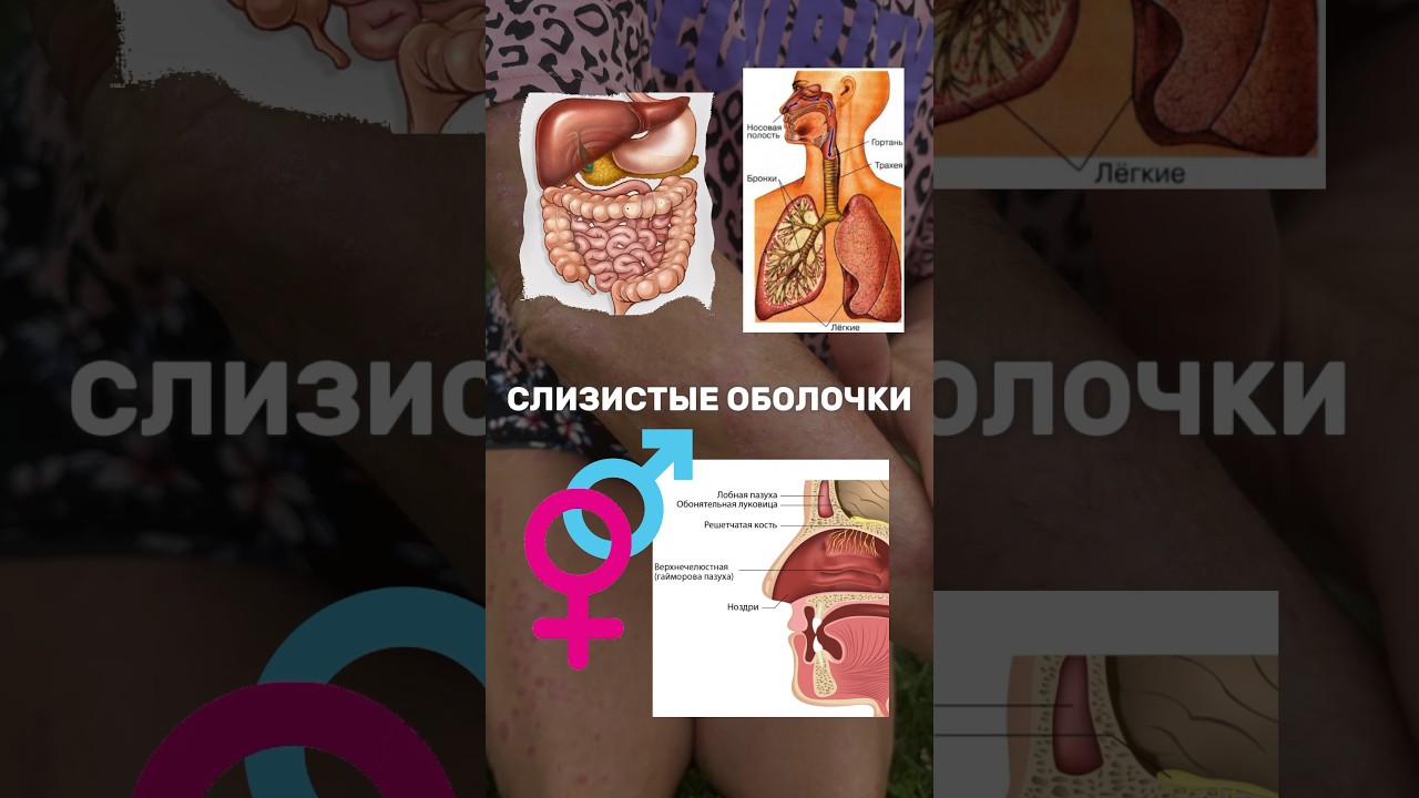 Можно ли наносить крем от псориаза Акрустал на слизистые оболочки? Ответили в видео🔥 #экзема
