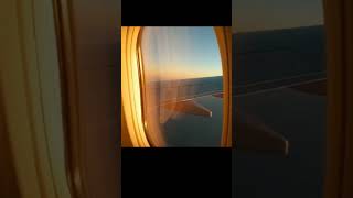 Quote ...... Success