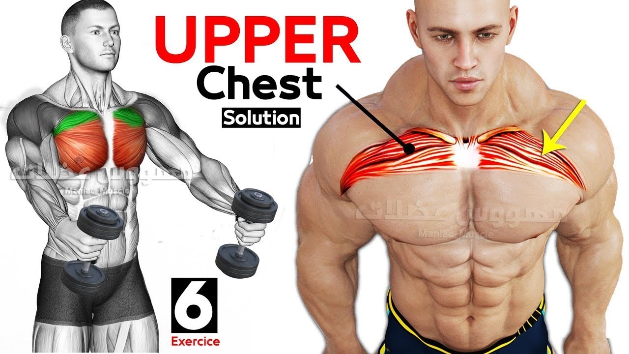 BEST 10 EXERCISES UPPER CHEST Workout 🔥 