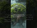 🎁 Nature Was a Gift 🌿 We Made It a Burden⚠️ |#shorts