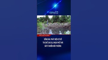 Đồng Nai: Phát hiện cơ sở tái chế cao su, nhựa phế thải gây ô nhiễm môi trường