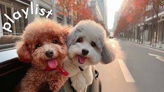 видео: Плейлист 🎧 Песни для отличного настроения с утра🎵 | Модный осенний плейлист✨ | картинка: Плейлист 🎧 Песни для отличного настроения с утра🎵 | Модный осенний плейлист✨ |