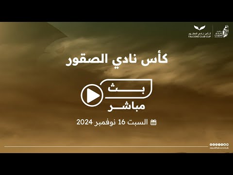 اليوم الرابع لمنافسات كأس نادي الصقور 2024 نادي الصقور السعودي 