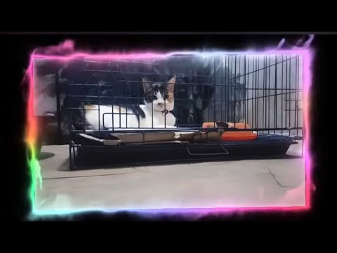 Trending Tiktok Song 2025 Beautiful Songs 2025 Ordinary Drunk Text And More