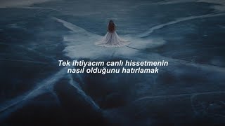 AURORA - Winter Bird [Türkçe Çeviri]