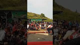 Tiktok Merpati R4AMPOK 2M Viralll!