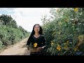 Cùng cô Gái Jrai Lên Đỉnh Núi Chư Đang Ya | Du Lịch Gia Lai |Hồng x RUPtv