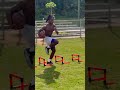 Great Running Back Drills