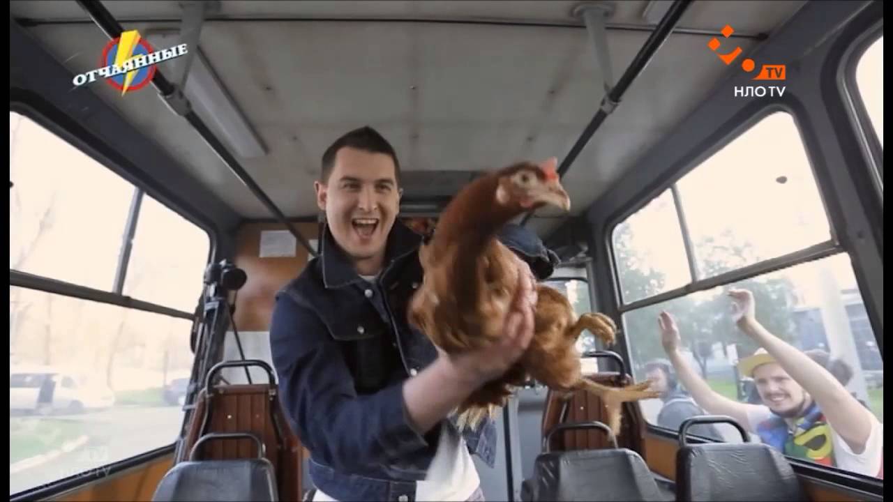 курица калорийность Дима и курочки | Отчаянные