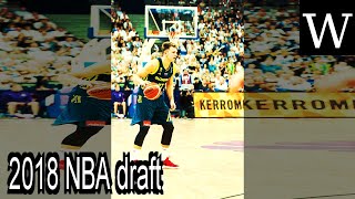 2018 NBA draft - WikiVidi Documentary